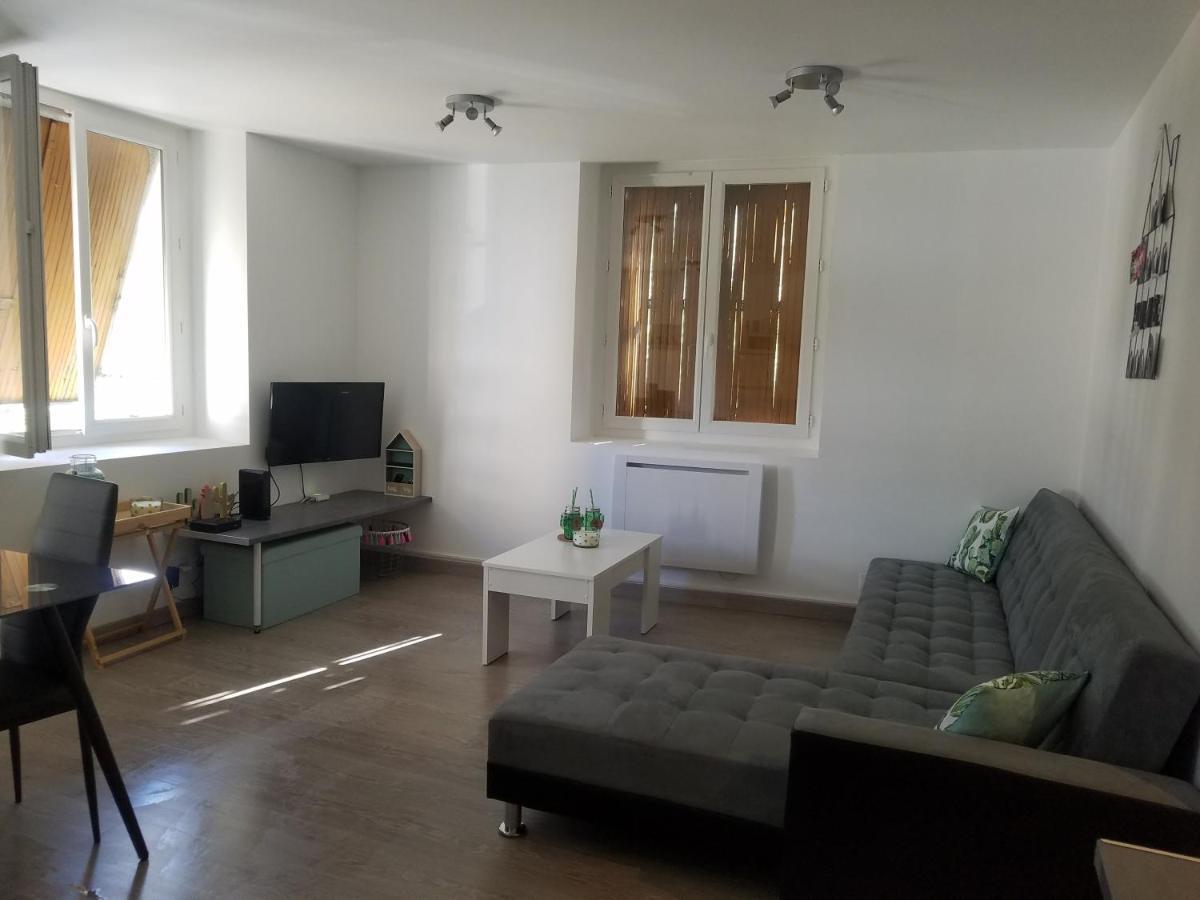 Les Cactus Apartment Saint-Etienne  Exterior photo